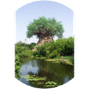 aungthu myint profile picture