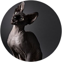 Tirmidzi Zahir profile picture